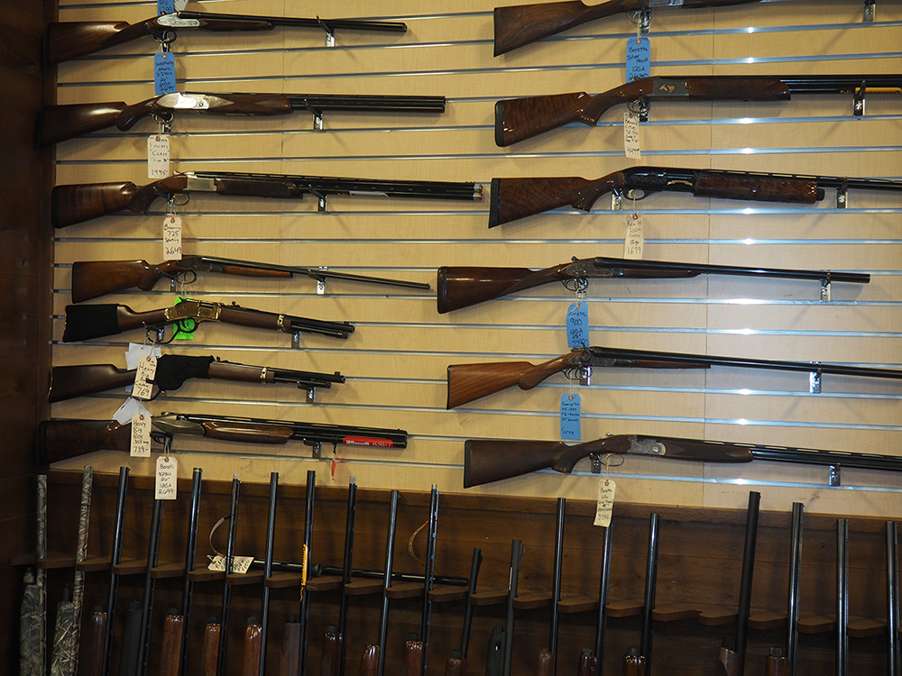 Huron Valley Guns - Rifles