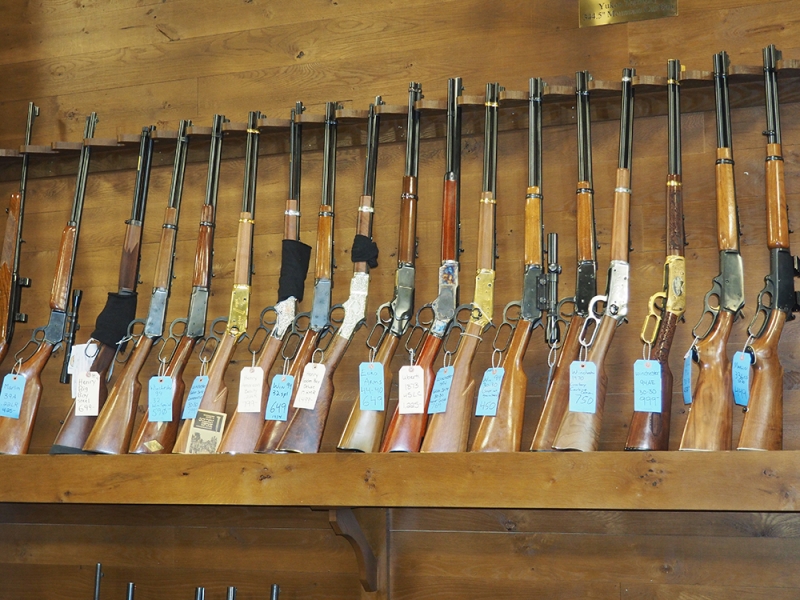 Huron Valley Guns - Rifles